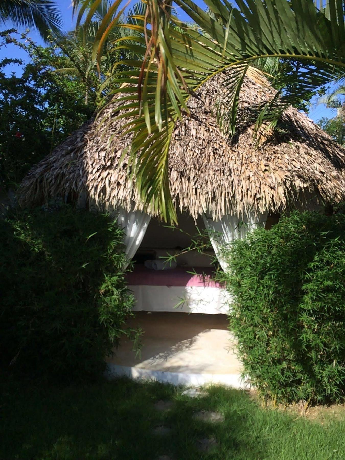 Mahona Bed & Breakfast Las Terrenas Exterior photo