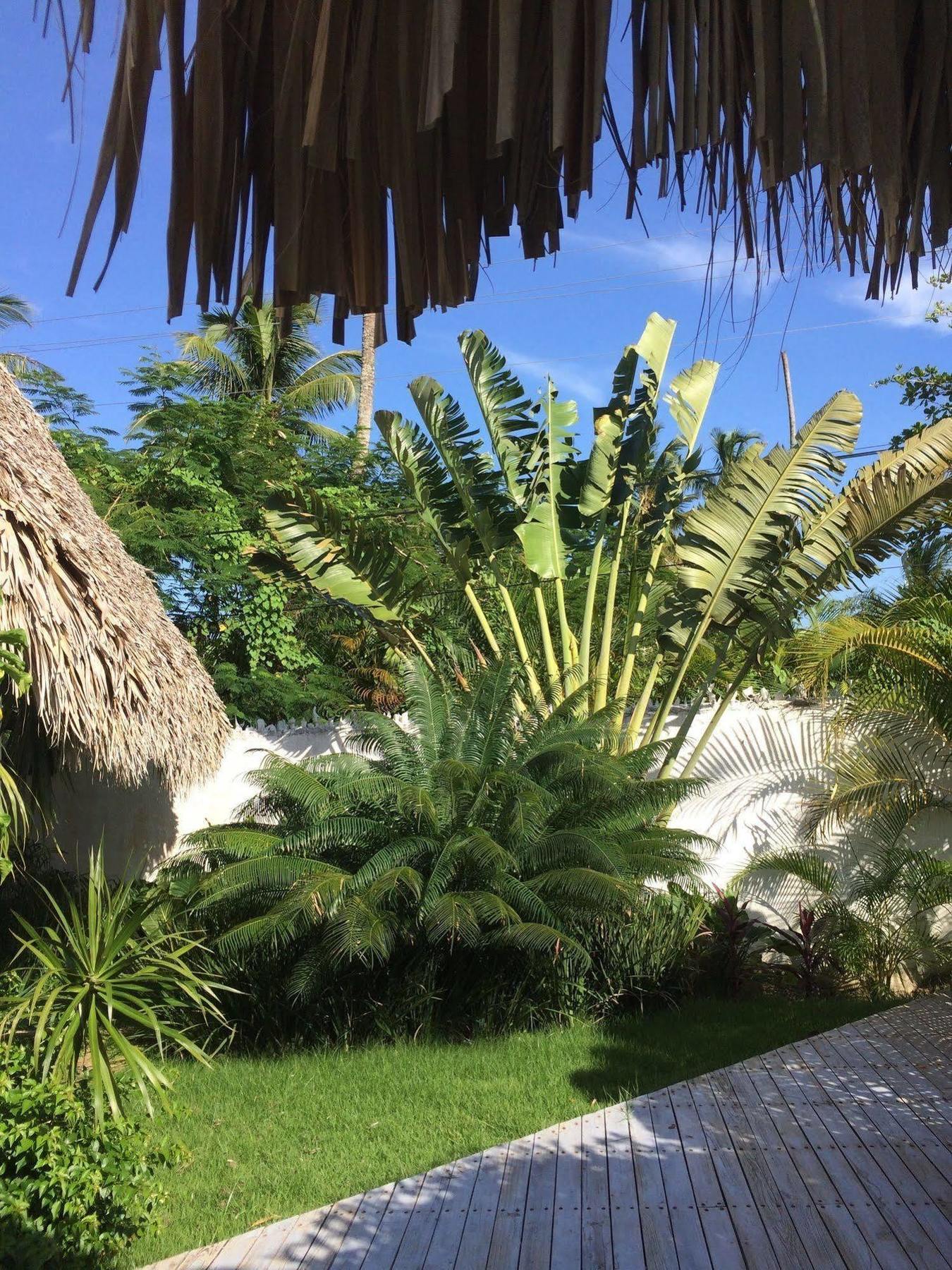Mahona Bed & Breakfast Las Terrenas Exterior photo